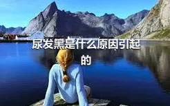 尿发黑是什么原因引起的