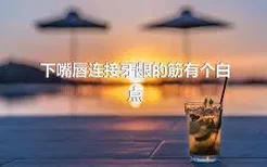 下嘴唇连接牙龈的筋有个白点