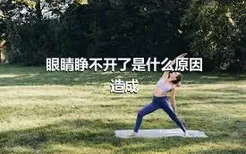 眼睛睁不开了是什么原因造成