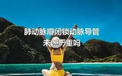 肺动脉瓣闭锁动脉导管未闭严重吗