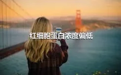 红细胞蛋白浓度偏低