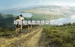 导管相关血流感染是什么