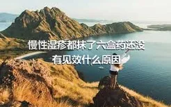 慢性湿疹都抹了六盒药还没有见效什么原因