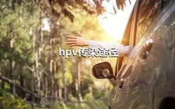 hpv传染途径