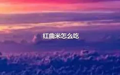 红曲米怎么吃