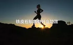 铁皮石斛条有什么功效