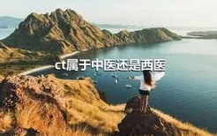 ct属于中医还是西医