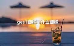 ges1细胞是什么细胞