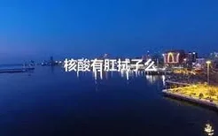 核酸有肛拭子么