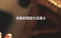 动脉的管腔大还是小