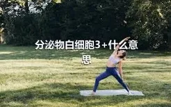 分泌物白细胞3+什么意思