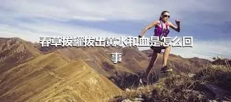 春草拔罐拔出黄水和血是怎么回事