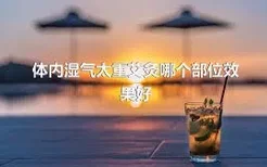 体内湿气太重艾灸哪个部位效果好