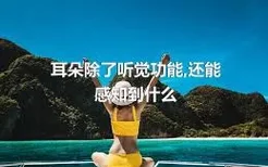 耳朵除了听觉功能,还能感知到什么