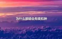 为什么眼睛会有麦粒肿