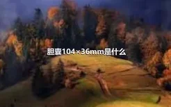 胆囊104×36mm是什么