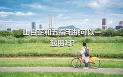 山白芷和五指毛挑可以一起用吗?