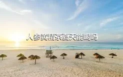 人参黄精茶夏天能喝吗