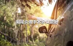 阑尾炎做手术多久能好