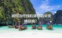 如何治疗线粒体基因突变糖尿病？