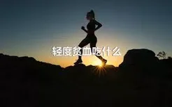 轻度贫血吃什么