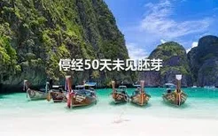 停经50天未见胚芽