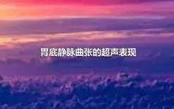 胃底静脉曲张的超声表现