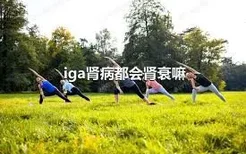 iga肾病都会肾衰嘛