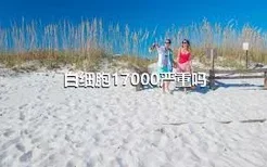 白细胞17000严重吗