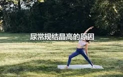 尿常规结晶高的原因