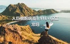 人巨细胞病毒3.91E+02正常吗