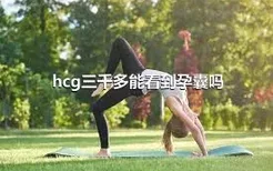 hcg三千多能看到孕囊吗