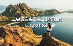 二尖瓣三尖瓣主动脉瓣轻度反流吃什么药