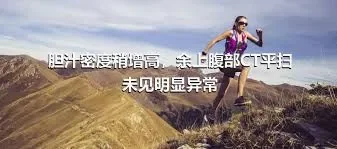 胆汁密度稍增高，余上腹部CT平扫未见明显异常