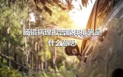 肠镜病理报告腺样排列是什么意思