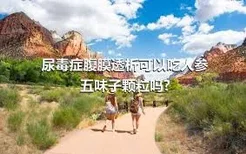 尿毒症腹膜透析可以吃人参五味子颗粒吗?