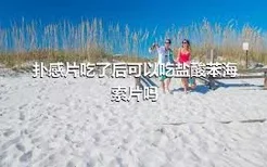 扑感片吃了后可以吃盐酸苯海索片吗