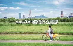 dbil/tbil偏低什么意思