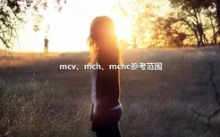 mcv、mch、mchc参考范围