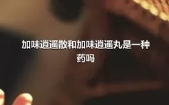 加味逍遥散和加味逍遥丸是一种药吗