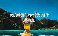 免疫球蛋白igm低说明什么意思