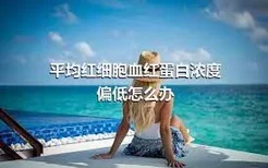 平均红细胞血红蛋白浓度偏低怎么办