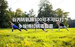 谷丙转氨酶300可不可以打埃博拉病毒疫苗