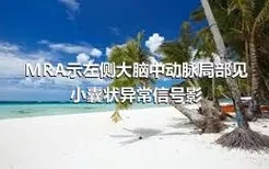 MRA示左侧大脑中动脉局部见小囊状异常信号影