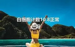 白细胞计数10.8正常吗