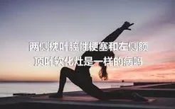 两侧枕叶腔性梗塞和左侧额顶叶软化灶是一样的病吗