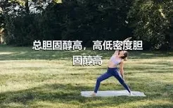 总胆固醇高，高低密度胆固醇高