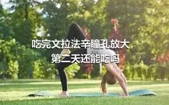 吃完文拉法辛瞳孔放大，第二天还能吃吗