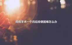 痔疮手术一个月后排便困难怎么办