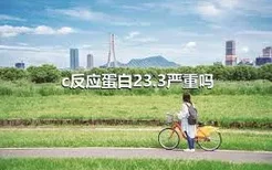 c反应蛋白23.3严重吗